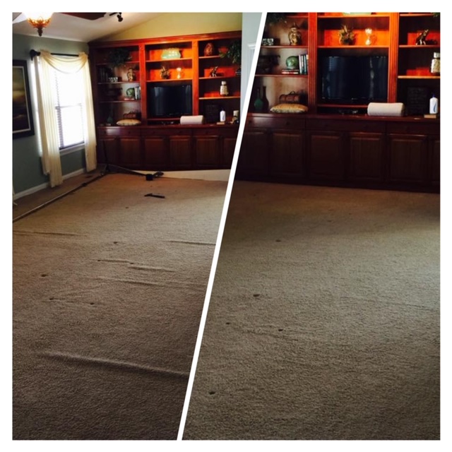 Gallery XTreme Carpet and Upholstery Floor Cleaning Specialist photo