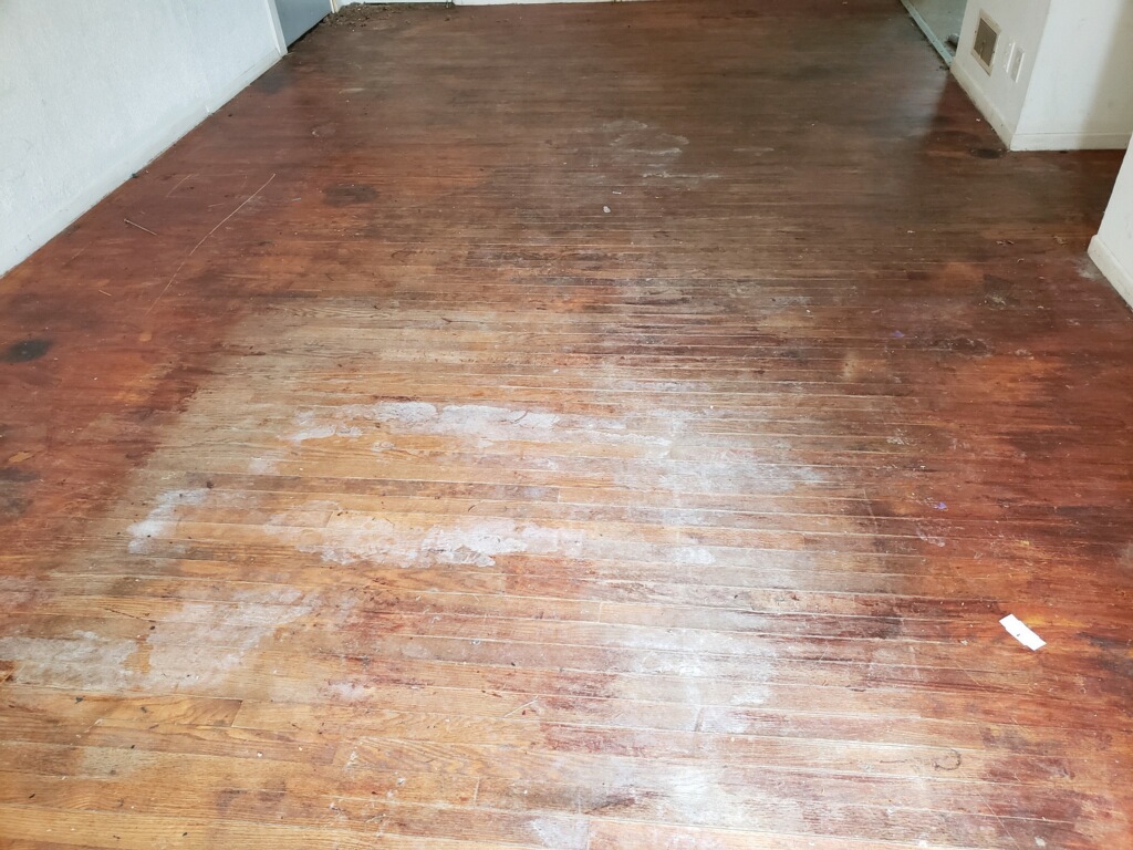 Gallery XTreme Carpet and Upholstery Floor Cleaning Specialist photo